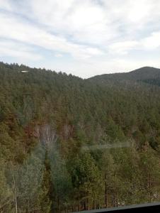 Příroda nedaleko apartmánu