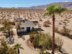 a house in the middle of a desert with a palm tree at Mayfair House - 4 Minutes to National Park! in Twentynine Palms