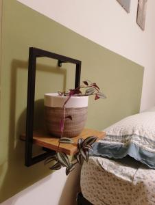 a plant on a wooden shelf next to a bed at Stanza indipendente a Gallarate in Gallarate