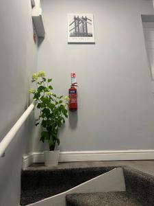 a fire extinguisher on a wall next to a plant at Luxury in luxury out in Nottingham