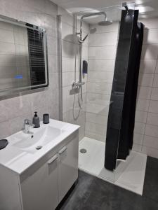 La salle de bains est pourvue d'un lavabo blanc et d'une douche. dans l'établissement Se relaxer dans la vallée, à Hombourg-Haut