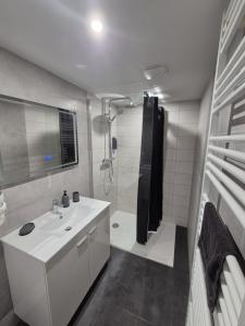 La salle de bains est pourvue d'un lavabo blanc et d'une douche. dans l'établissement Se relaxer dans la vallée, à Hombourg-Haut