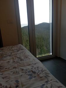 een slaapkamer met een bed en een groot raam bij Vila Leona B-3 in Divčibare
