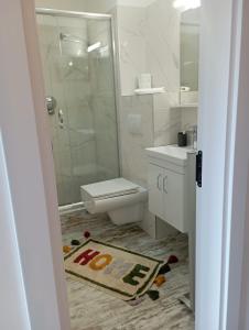 een badkamer met een toilet, een douche en een tapijt bij Vila Leona B-3 in Divčibare