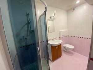 Koupelna v ubytování Apartman A1 Golem