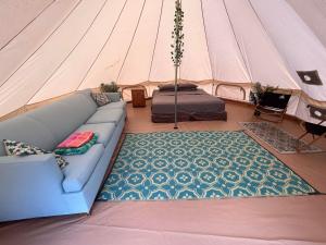 une tente avec un canapé et un lit. dans l'établissement North Shore Glamping / Camping Laie, Oahu, Hawaii, à Laie