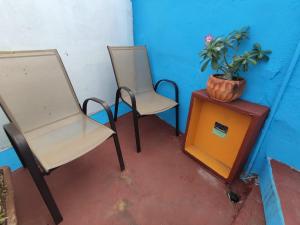 Deux chaises et une table avec une plante en pot sur celle-ci dans l'établissement Chuchumbé Hotel & Hostal, à Veracruz