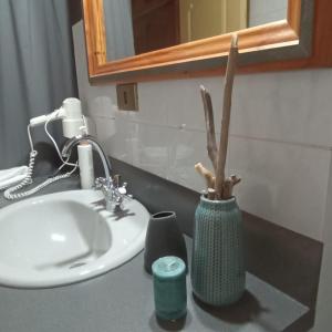 La salle de bains est pourvue d'un lavabo et d'un vase vert avec une plante. dans l'établissement Paso de los Troperos, à La Junta