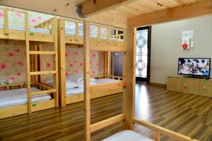 a room with two bunk beds and a flat screen tv at Seom Guesthouse in Seogwipo +41 photos