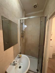 a bathroom with a sink and a shower at Studios/ Bedsitter living unit -Ilford in Ilford