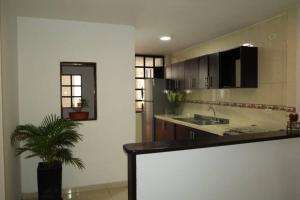 a kitchen with a counter and a plant in it at Guayacan Refugio in Ibagué