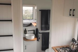 a kitchen with a sink and a bowl on a shelf at Tiny Charlie in Haden