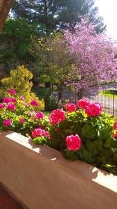 różowe kwiaty w ogrodzie w obiekcie La Casona del Lago w mieście Balneario Ipora