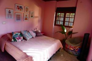 Dormitorio rosa con cama y planta en KameHousePalomino, en Palomino