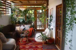 sala de estar con sofá y plantas en KameHousePalomino, en Palomino