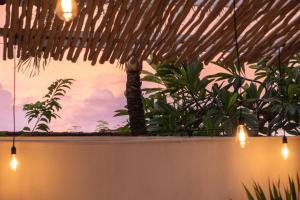 Blick auf eine Terrasse mit Pflanzen und Lichtern in der Unterkunft Villa Lotus - 1BR Canggu Villa with private pool - Near Wanderlust, Soma and BaliMMA in Dalung