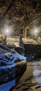 Estrella de nieve v zime