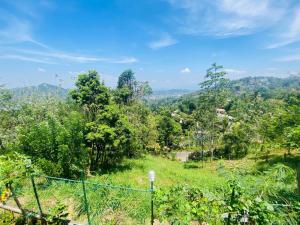 Blick auf einen Hügel mit Bäumen und einem Zaun in der Unterkunft Amelia Misty Hills in Kandy