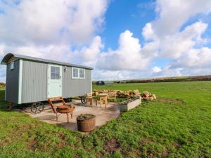 a tiny house in a field with a table and chairs at Lower Trewern Shepherds Hut in Penzance