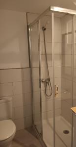 a bathroom with a glass shower with a toilet at Apartamentos Arcadio in El Arenal