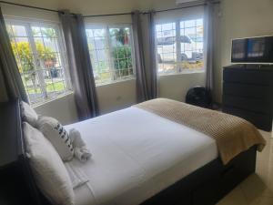 a bedroom with a bed with windows and a television at Beautiful Battersea Lodge in Mandeville
