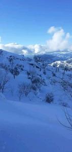 einen schneebedeckten Hügel mit Bäumen und Büschen in der Unterkunft Hermanos ketama hotil in Tlata Ketama