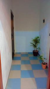 a hallway with two potted plants and a door at Appart boa in Cotonou