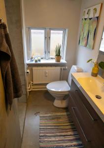 een badkamer met een toilet, een wastafel en een raam bij Hyggelig byhus i stueplan med solrig gårdhave in Svendborg