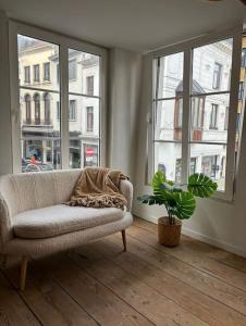 ein Wohnzimmer mit einem Sofa und einer Topfpflanze in der Unterkunft Charming Bohemian central app in Antwerpen