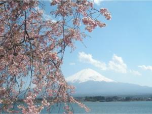 a snow covered mountain in the distance with a tree at Lake Kawaguchi Rental Villa Tozawa Center - Vacation STAY 46658v in Oishi
