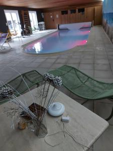 Bazén v ubytování Letteratelier drieSprong nebo v jeho okolí + 10 fotografií