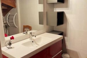 ein Badezimmer mit einem weißen Waschbecken und einem Spiegel in der Unterkunft Grand gite de la Bourrélie in Plazac