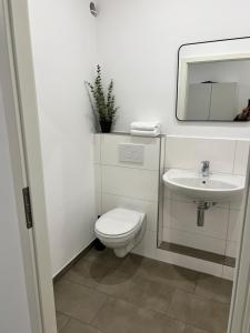 een badkamer met een toilet en een wastafel bij Pension An der Mühle in Sottrum