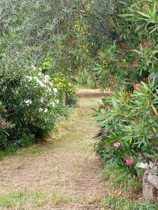 A garden outside Villino San Silvestro
