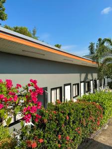Zahrada ubytování Samui Backpacker Hotel