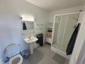 uma casa de banho com um WC, um lavatório e um chuveiro em Appartement 2 chambres balcon vue Dordogne en centre ville de Bergerac em Bergerac