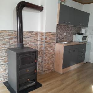 a black stove in a kitchen with a counter at Apartman 1 RIBIČ in Ogulin