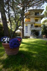 a large pot of flowers in front of a building at Hotel Giulio Cesare in Cinquale