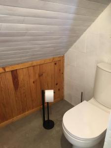 a bathroom with a white toilet in a attic at Appartement dans grange in Aucun