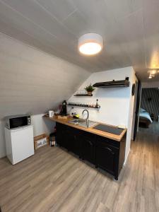 uma cozinha com um lavatório e um balcão num quarto em Chez dimi et mary em Marche-en-Famenne