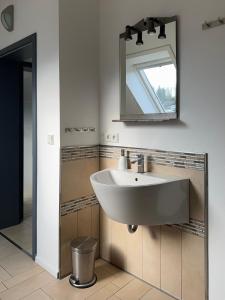 een badkamer met een wastafel en een spiegel bij Flat 39 in Wiehl
