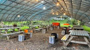 Φωτογραφία από το άλμπουμ του Kitefarm σε Dongshan