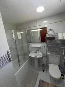 La salle de bains est pourvue d'une douche, de toilettes et d'un lavabo. dans l'établissement logement tout confort marina or, à Oropesa del Mar