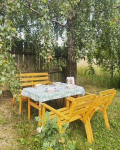 a picnic table and two benches under a tree at Klocówka Roztocze in Majdan Wielki