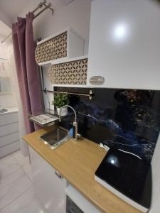 Kuchyň nebo kuchyňský kout v ubytování Barko rooms