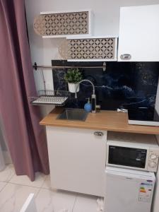 Kuchyň nebo kuchyňský kout v ubytování Barko rooms