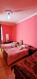 Postel nebo postele na pokoji v ubytování Rita Gujejiani Guest House