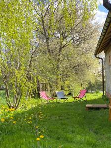 three pink chairs sitting in the grass in a yard at Retro stodoła Siedlisko Klocówka Roztocze Całoroczna agroturystyka in Majdan Wielki