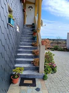 una scala che conduce a una casa con piante in vaso di Casa da Oliveira a Pegarinhos