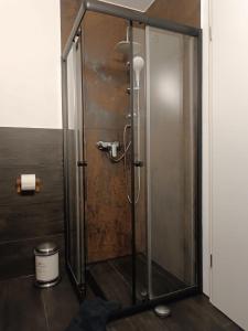 a shower with a glass door in a bathroom at Haus am Wanderweg in Niederdürenbach